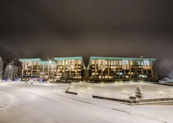 Timber View Apartment Silver Mountain Poiana Brasov