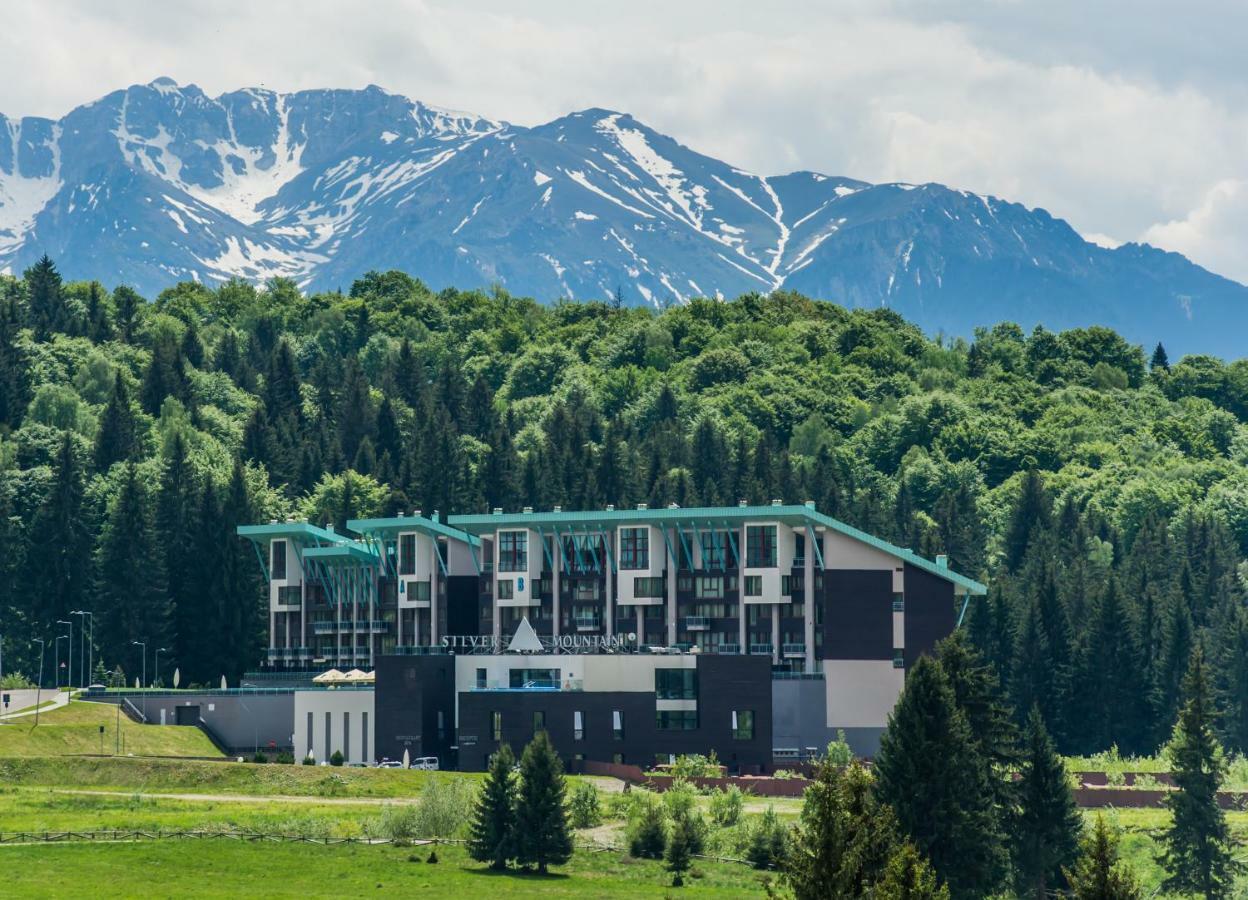 Timber View Silver Mountain