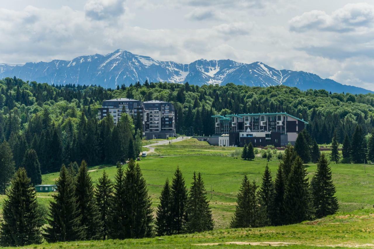 Timber View Silver Mountain
