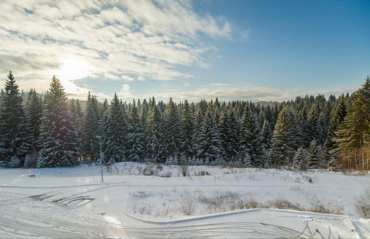 Apartment Timber View Silver Mountain *